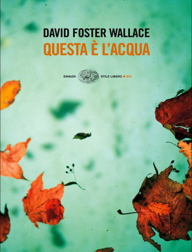 David Foster Wallace – Questa è l’acqua
